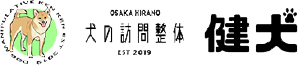 犬の訪問整体 健太