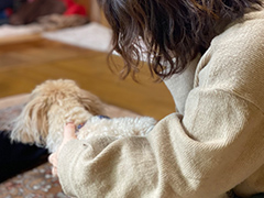 ホリスティックケアが学べる