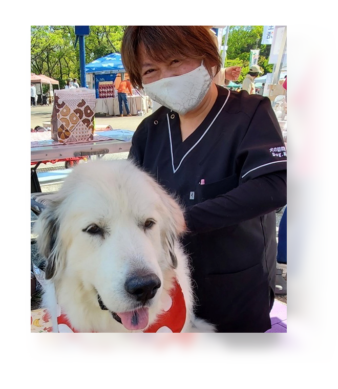 NTRUDUCTIONタイトルイメージ