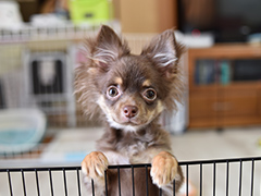 「できるアフターケア」をご提案