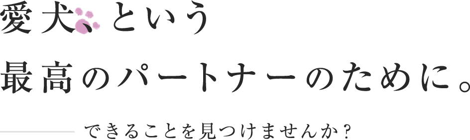 愛犬、という最高のパートナーのために。できることを見つけませんか？